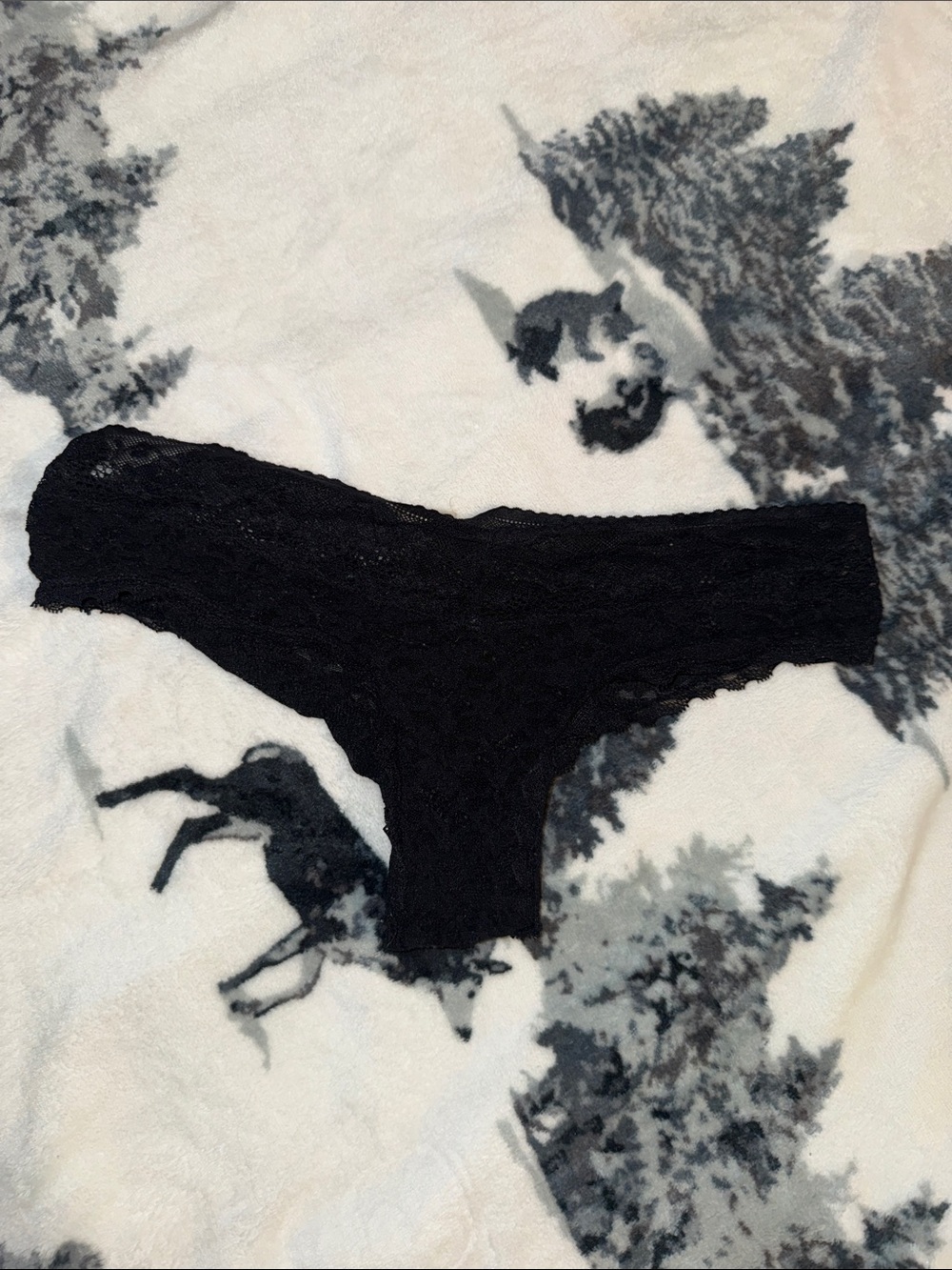 aerie Black Lace Cheeky Panty